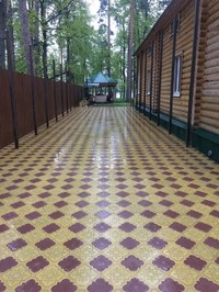 Клевер «Краковский»